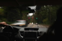 Permis de conduire : une formation gratuite pour actualiser ses connaissances