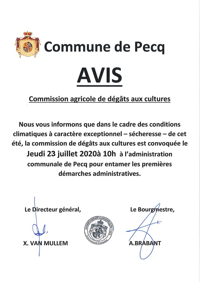 avis