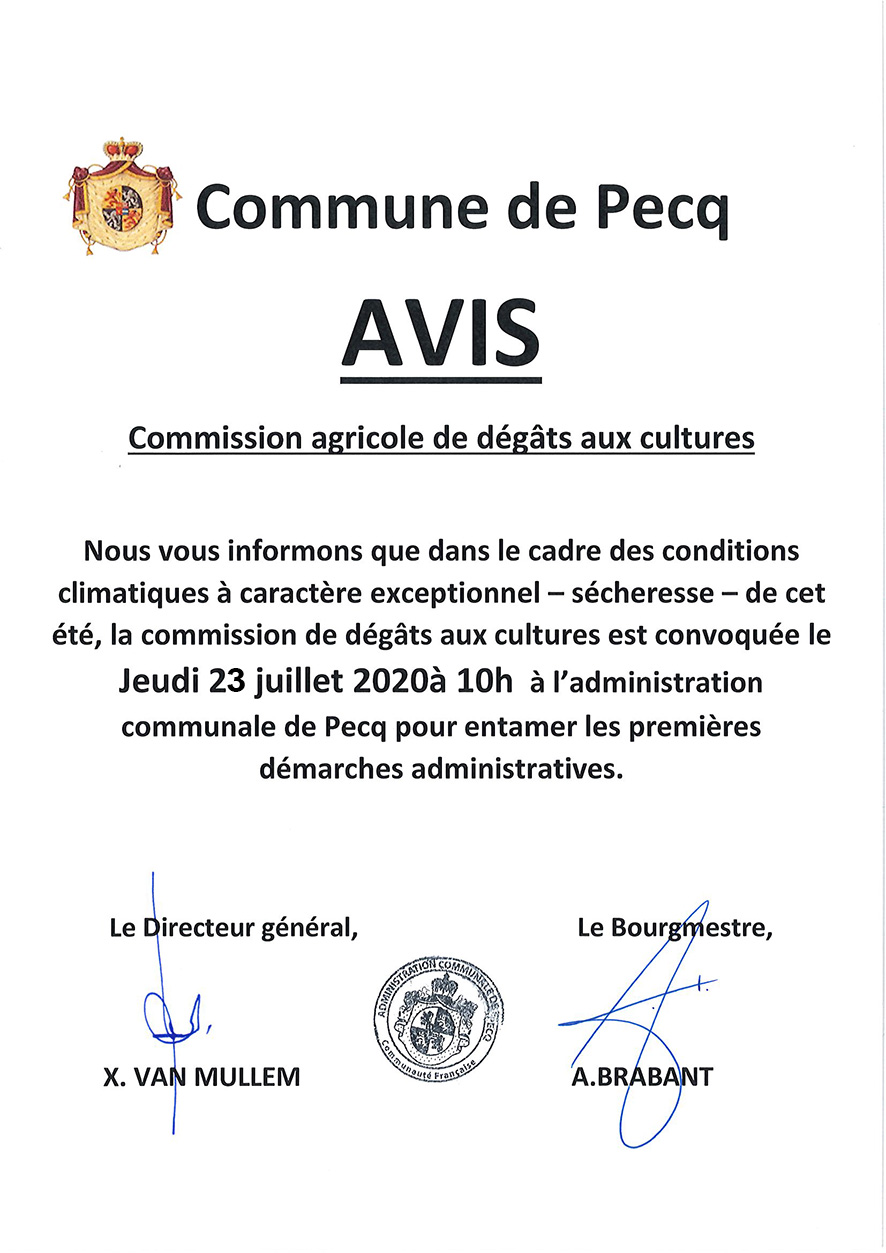 avis