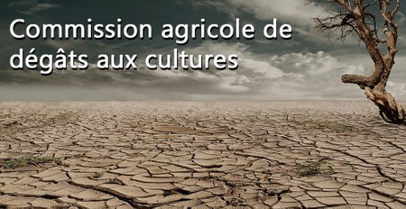 Illustration de l'actualité - cliquer pour agrandir