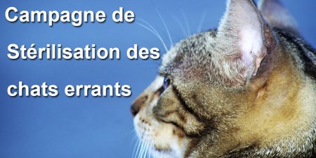 Illustration de l'actualité - cliquer pour agrandir