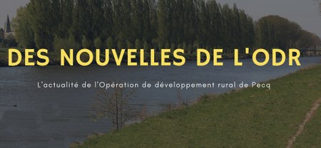 Illustration de l'actualité - cliquer pour agrandir