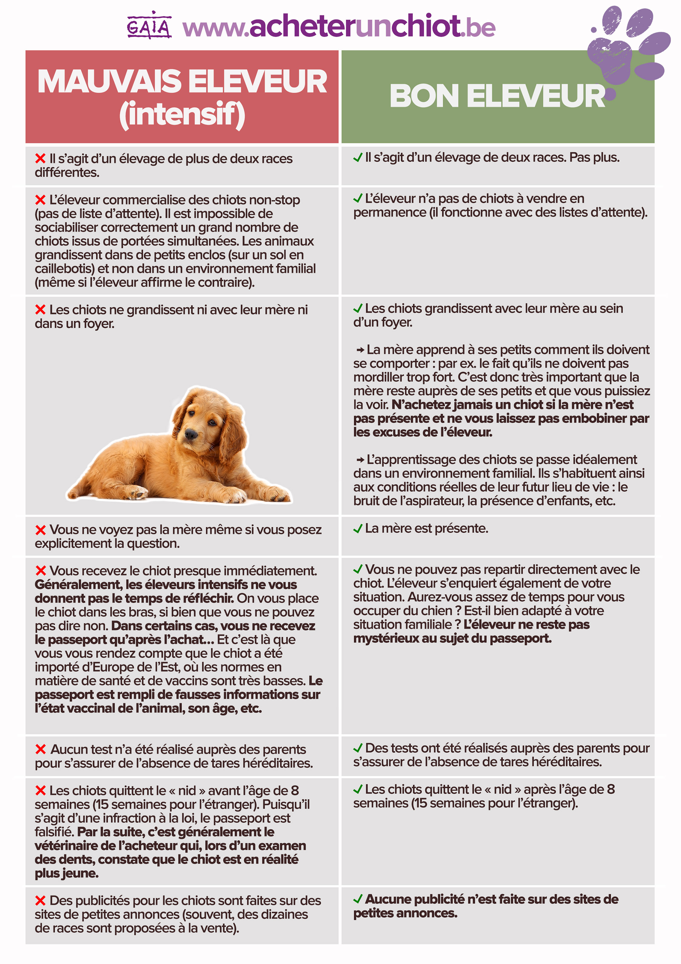 guide pratique comment reconnaitre un mauvais eleveur